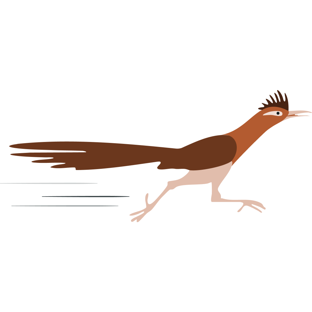 asset-juniors-competition-desert-roadrunners asset-juniors-competition-desert-roadrunners